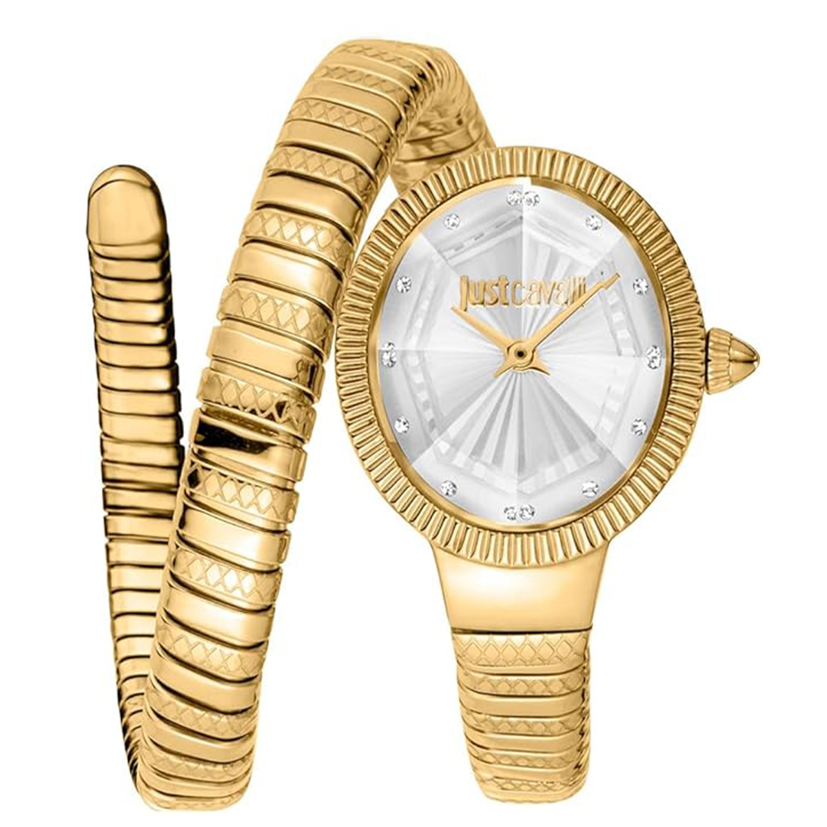 MONTRE JUST CAVALI FEMME ACIER